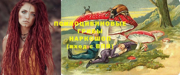 сатива Струнино