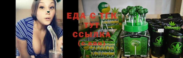 амф Менделеевск