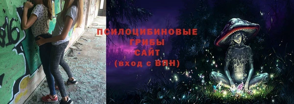 гидропоника Мещовск