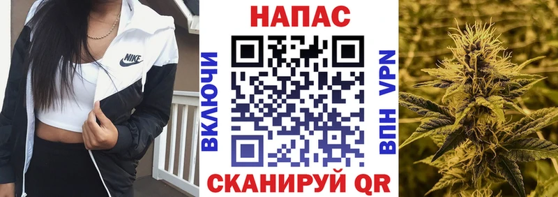кракен вход  что такое наркотик  Шимановск  МАРИХУАНА конопля 